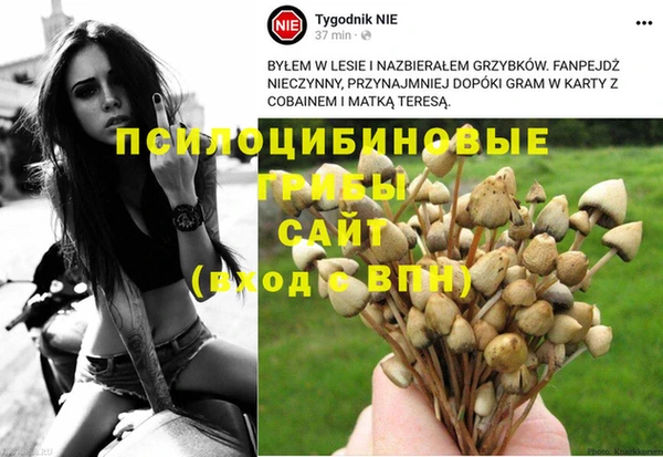 spice Абдулино